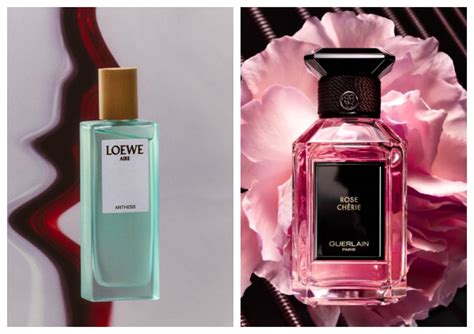 perfumes perfectos para la mujer.